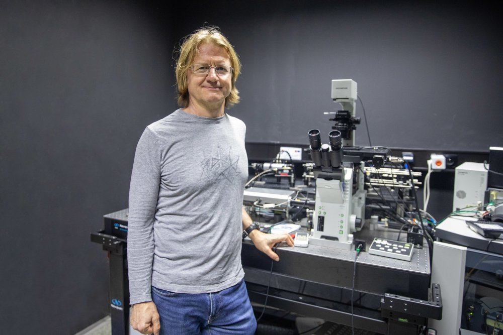 Miniaturní „antény“ umožní sledovat důležité buněčné procesy